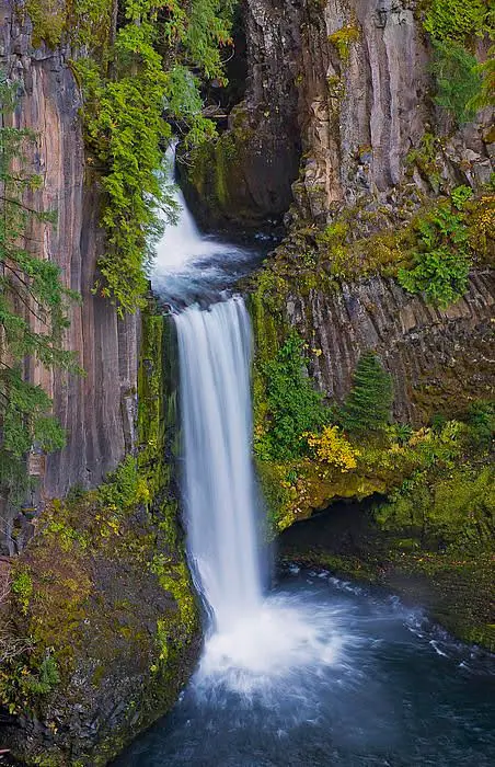 Umpqua National Forest OHV