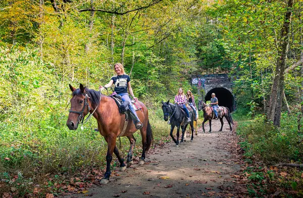 Uncle Buck's Riding Stable and Dance Barn, New Marshfield, OH