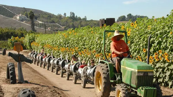 Underwood Family Farms