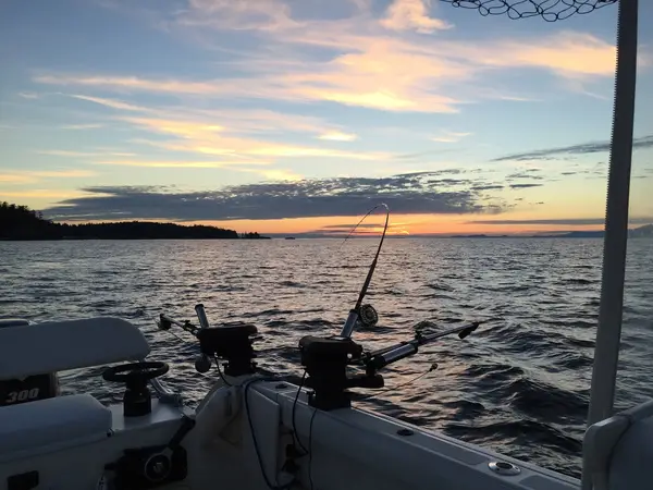 Unreel Charters, photo 2