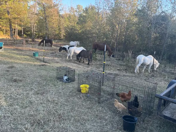 Urban Sanctuary, Pine Bluff, AR
