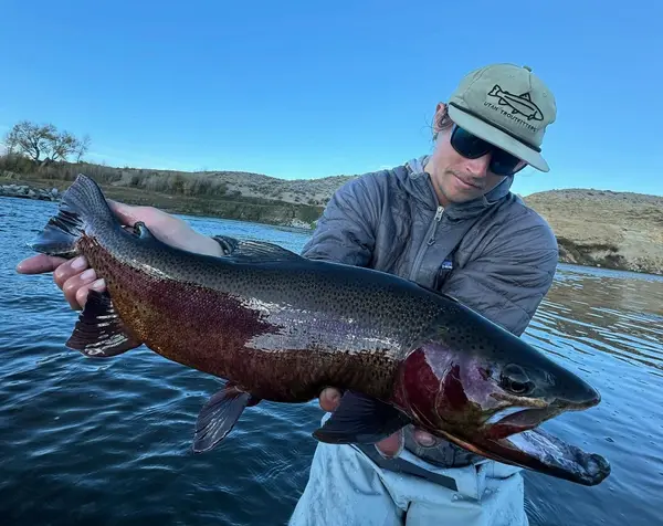 Utah Troutfitters Park City