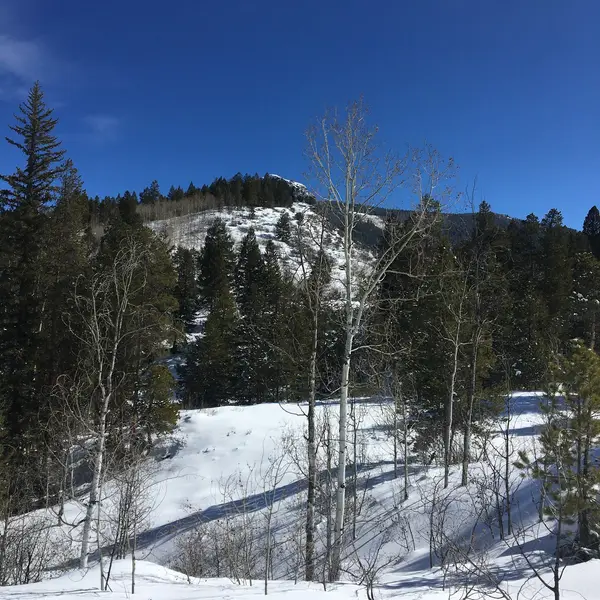 Vail Ski and Snowboard Academy