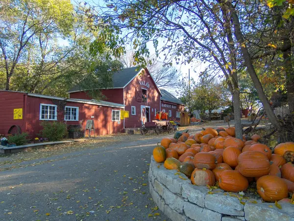 Vala's Pumpkin Patch & Apple Orchard, Gretna, NE