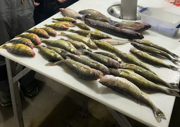 Varilek's Guide Service, Devils Lake, ND