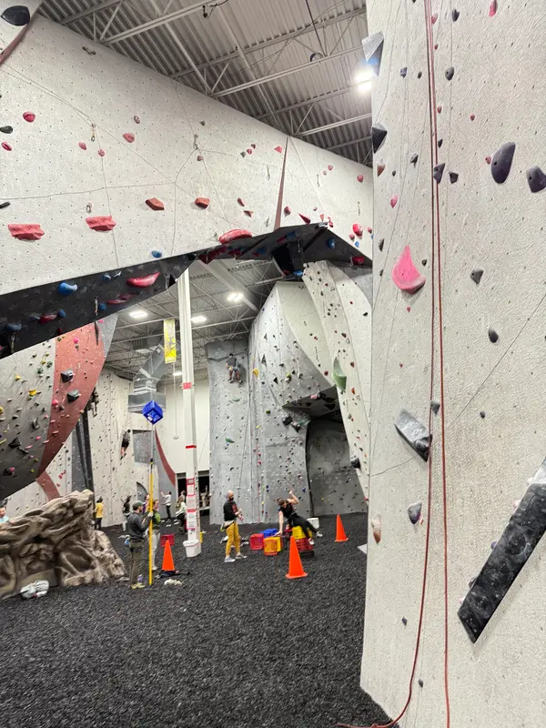 Vertical Endeavors