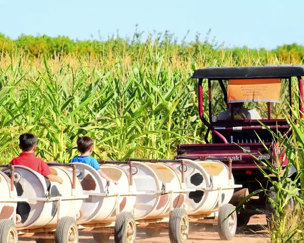 Vertuccio Farms, Mesa, AZ