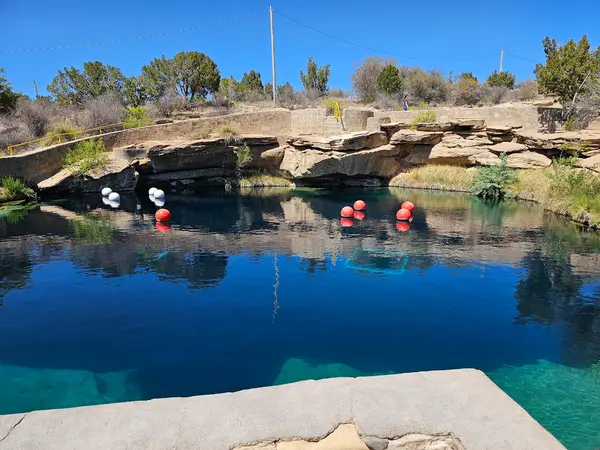 Viking Dives