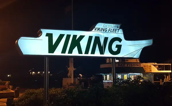 Viking Fleet