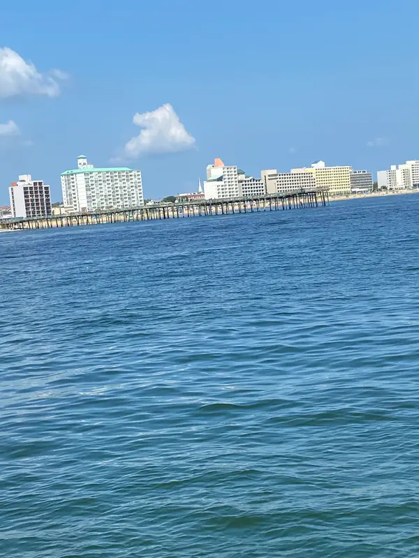 Virginia Aquarium Boat Tours