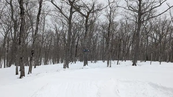Voodoo Mountain