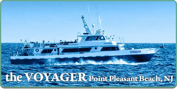 Voyager Sportfishing