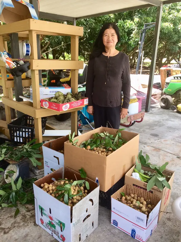 Vuon Trai Cay Diep Quach Fruit Farm, Miami, FL