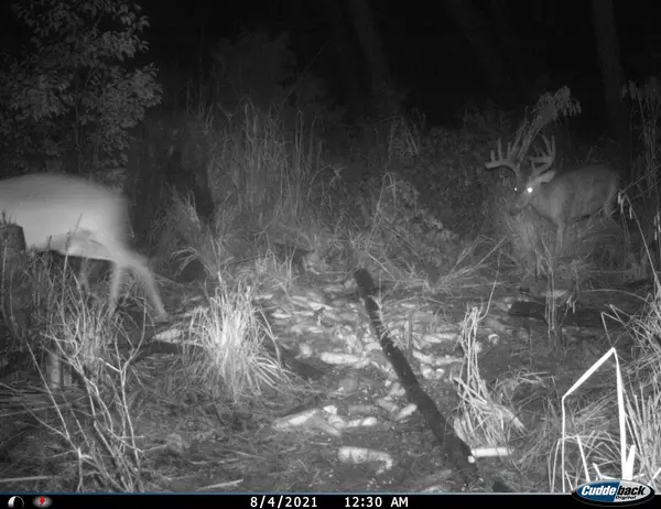 Waccamaw Hunting Services, LLC