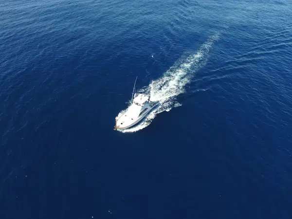Wahoo Fishing Charters, Charleston, SC