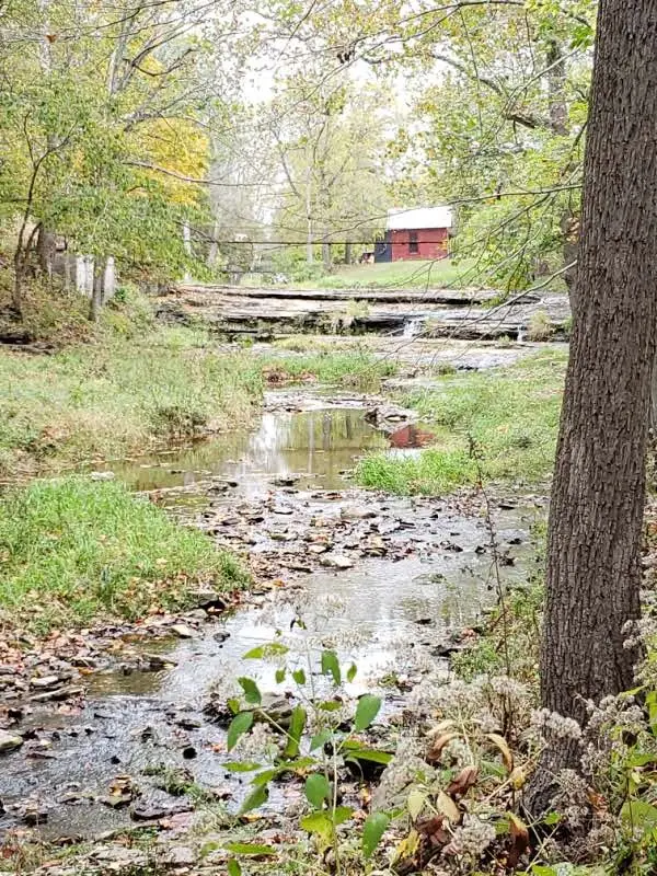 Wapalo Creek Outfitters