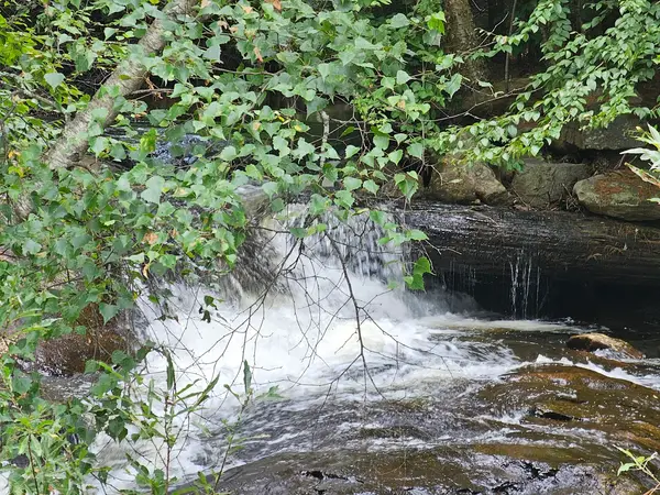 Warren Recreational Trail
