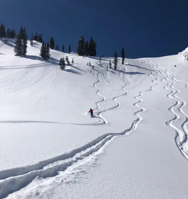 Wasatch Mountain Guides