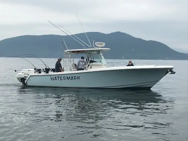 Watermark Salmon Fishing Charters, photo 2