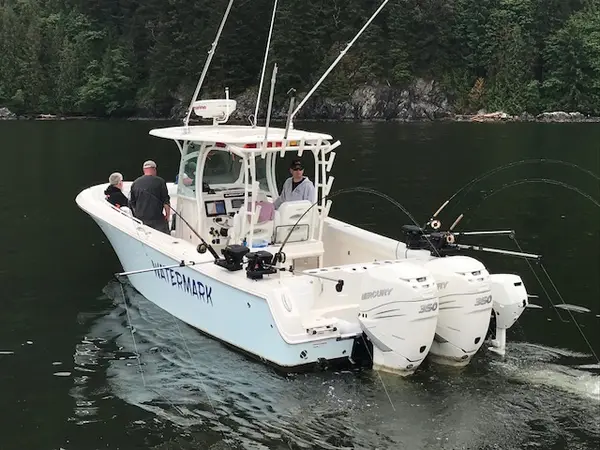 Watermark Salmon Fishing Charters, photo 3