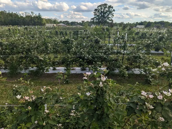 Waughsome Farm