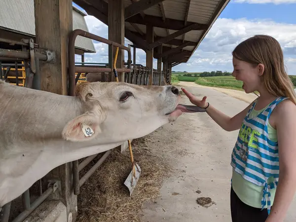 Wegmueller Farm - Home of "The Dairy" Farmstay & "The Brumby" Equine, Monroe, WI