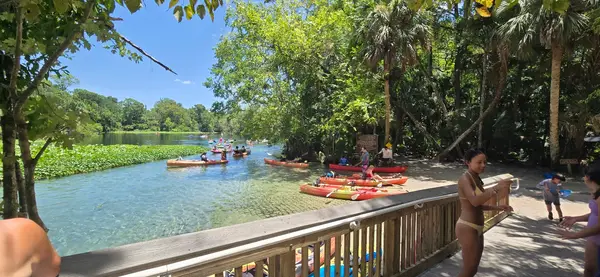 Wekiwa Springs Adventures