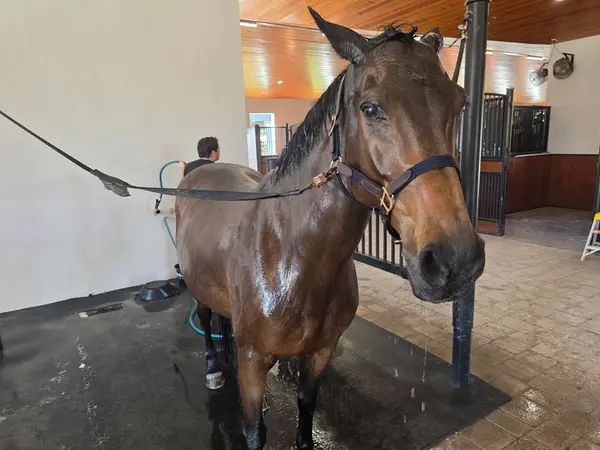 Wellington Equestrian Center, photo 1