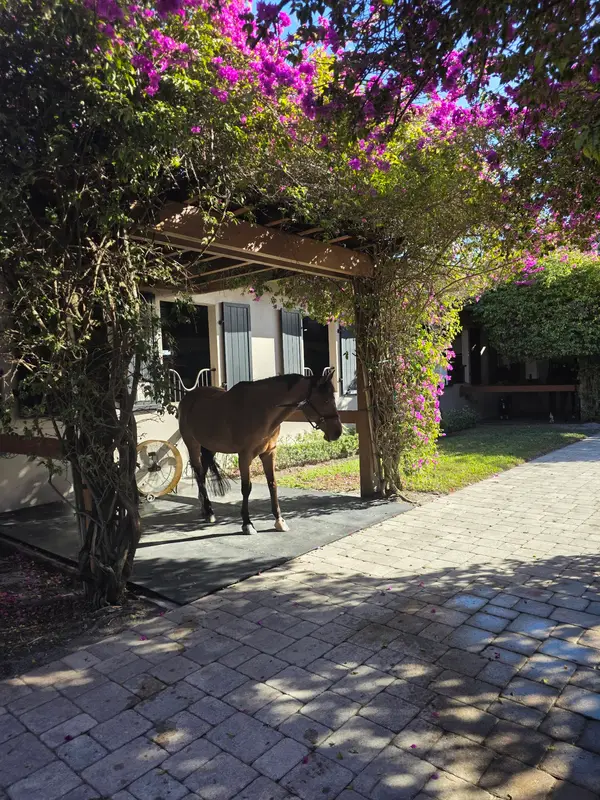 Wellington Equestrian Center, photo 3