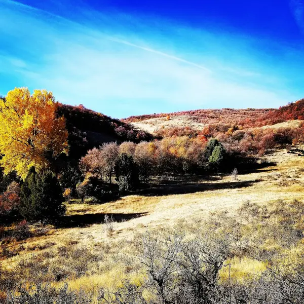 West Canyon Ranch