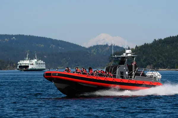 Western Prince Whale Watching