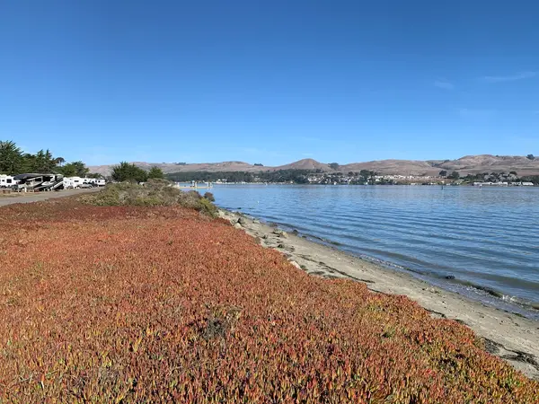 Westside Regional Park and Campground