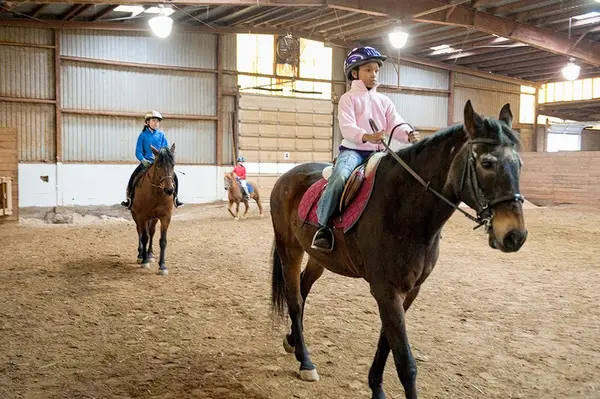 Wheaton Park Stables
