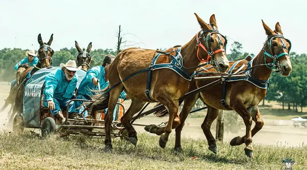 Whiskey Ridge Ranch