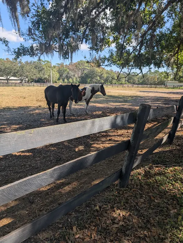 Whispering Oaks Equestrian Center, photo 1