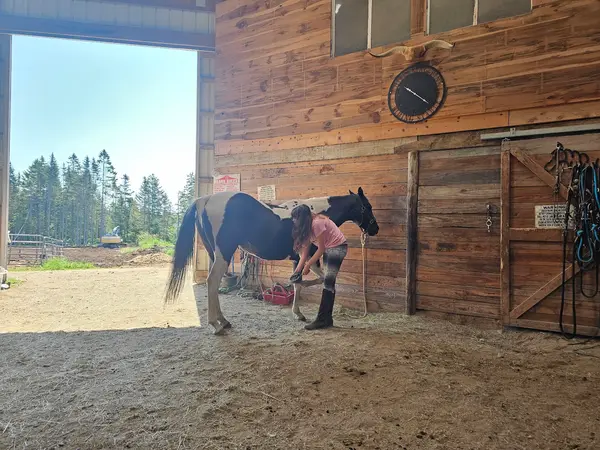 Whispering Pine Riding Stable