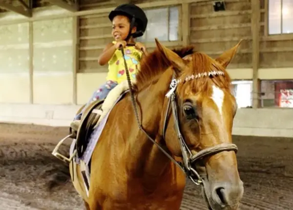 Whiting's Neck Equestrian Center