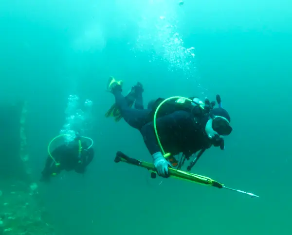 Whole Other World Scuba