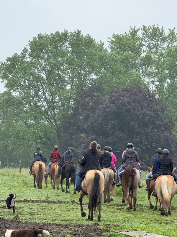 Why-Not Riding Stable