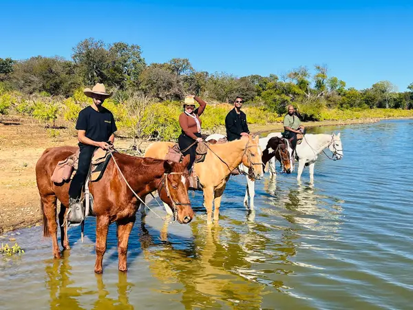 Widowmaker Trail Rides