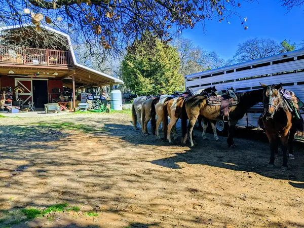 Widowmaker Trail Rides, photo 2
