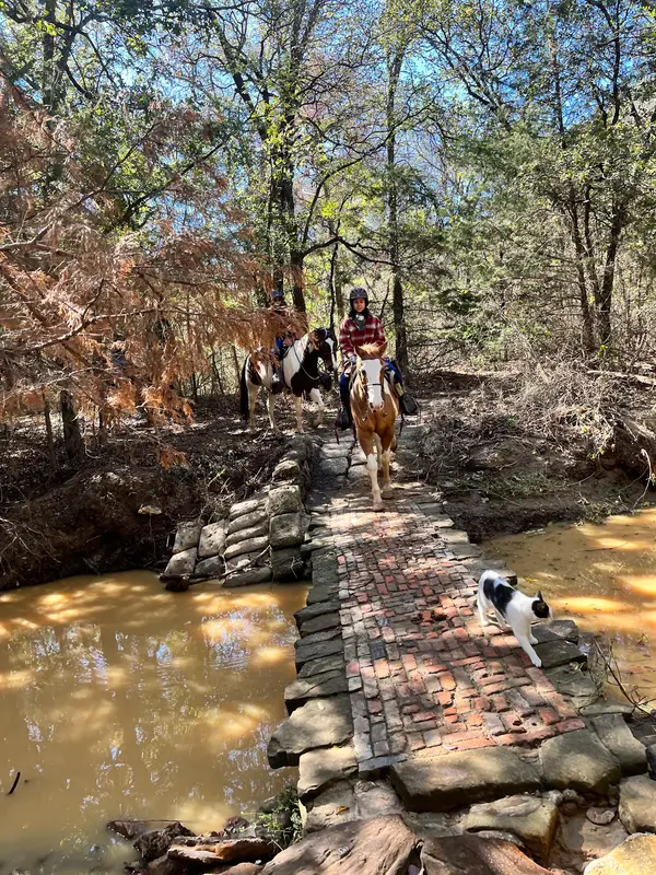 Widowmaker Trail Rides, photo 3