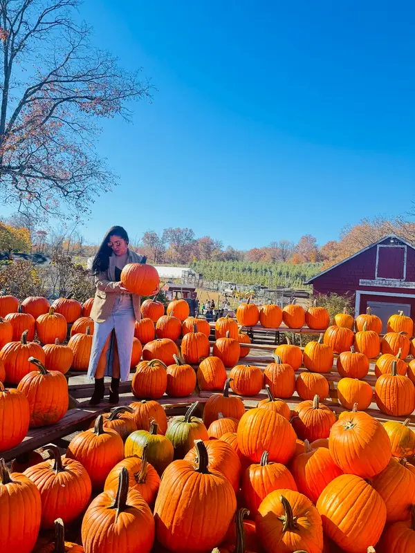 Wightman Farms, Morristown, NJ