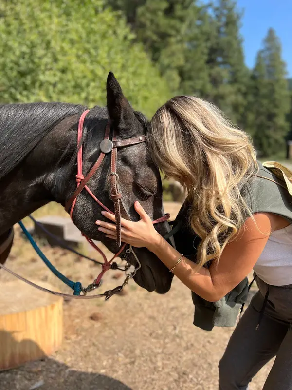 Wild At Heart Horse Rides