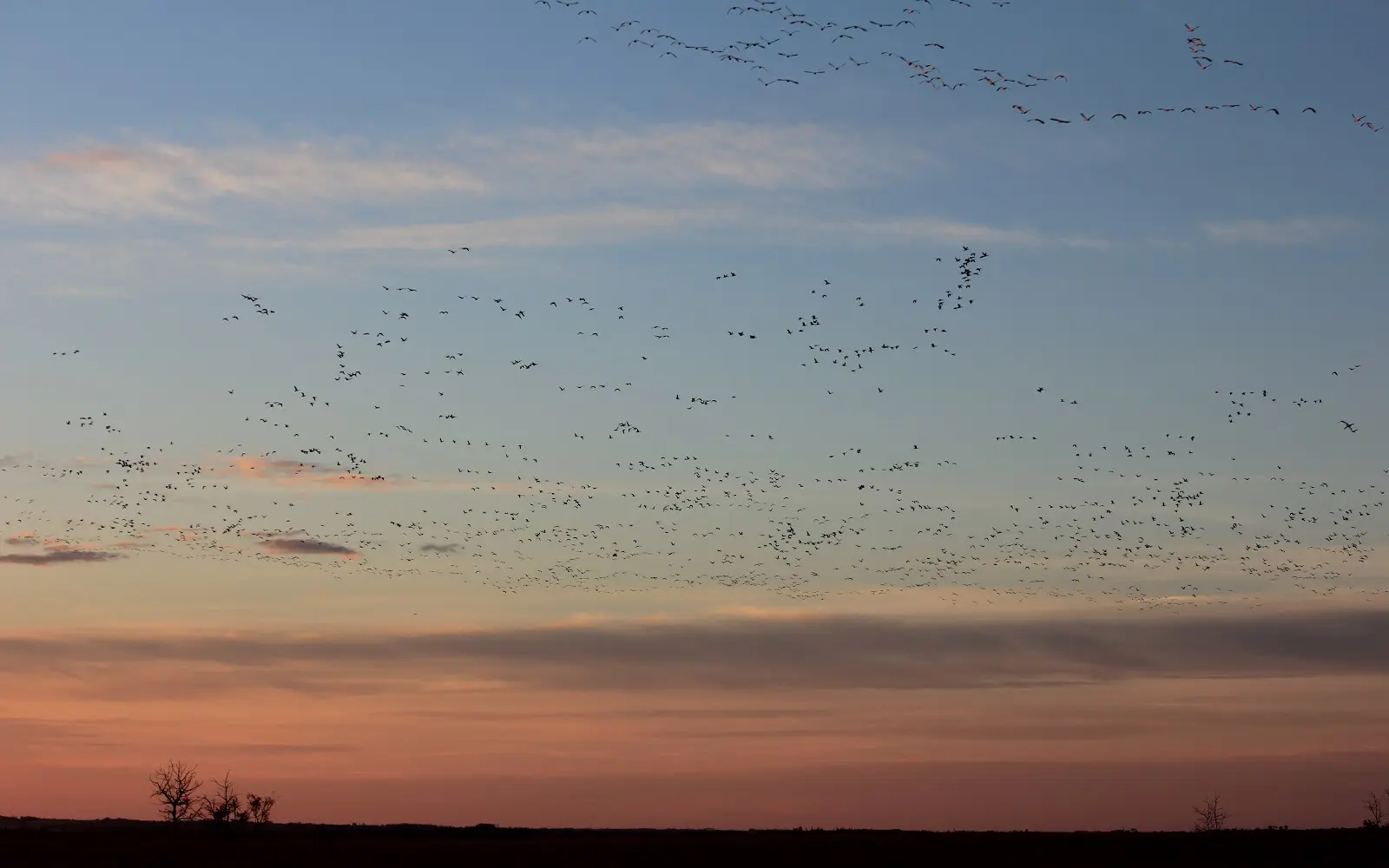 Wild Goose Lodge Ltd.