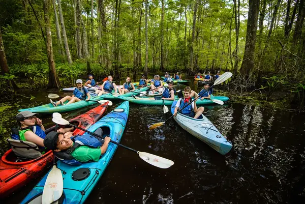 Wild Louisiana Kayak Swamp Tours, New Orleans, LA