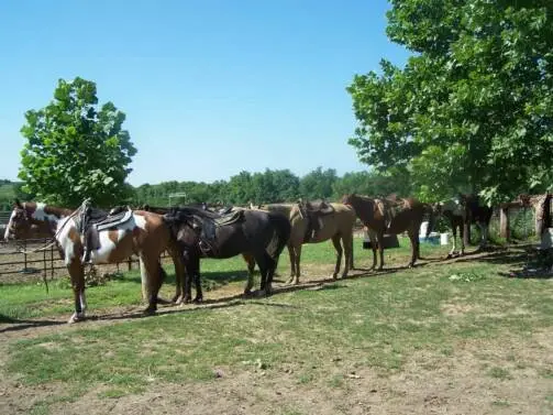 Wild Rose Equine Center