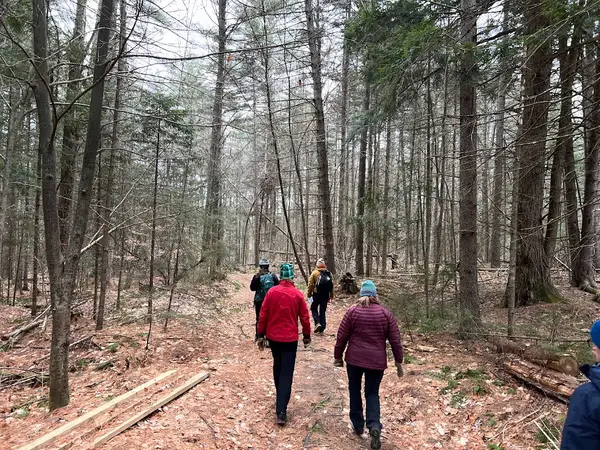 Wild Vermont Outfitters