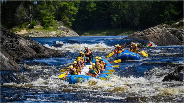 Wilderness Tours