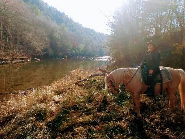 Wildfire Ranch Spiritual Retreat